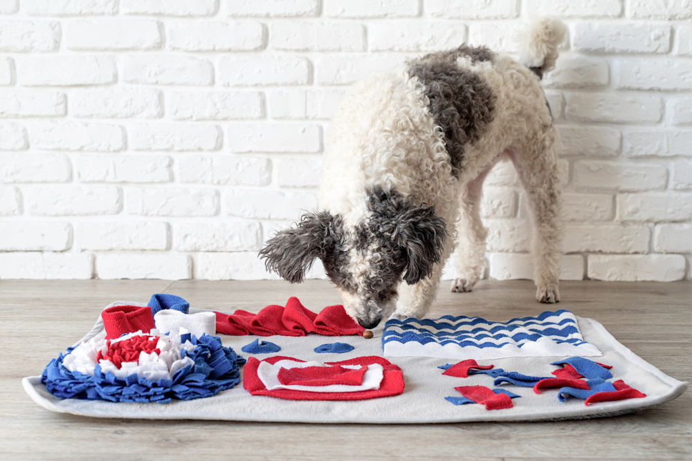 Snuffle mat