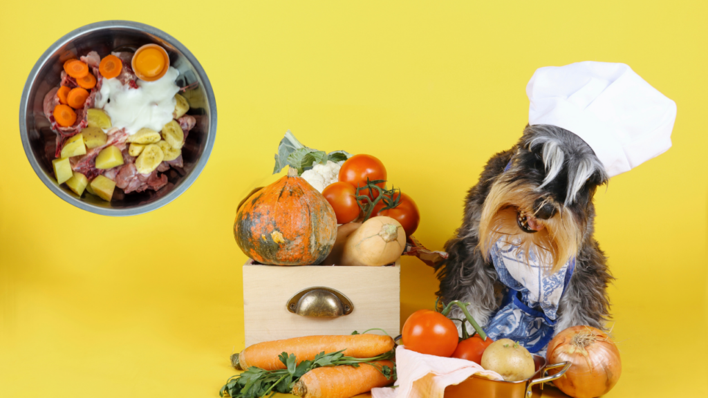 Dog food ingredients