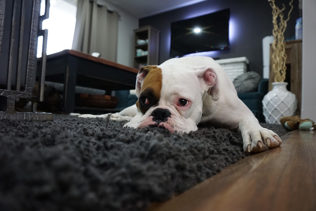 Steam Cleaning: A Deep Clean Approach