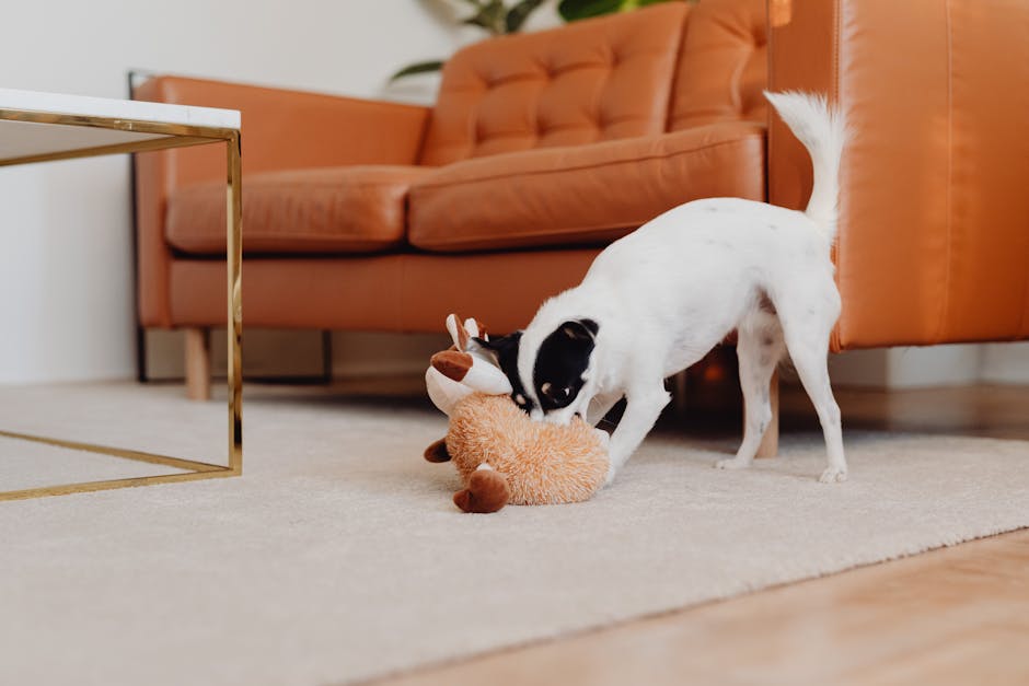 Chihuahuas: Tiny Dogs with Big Hearts (image credits: pexels)