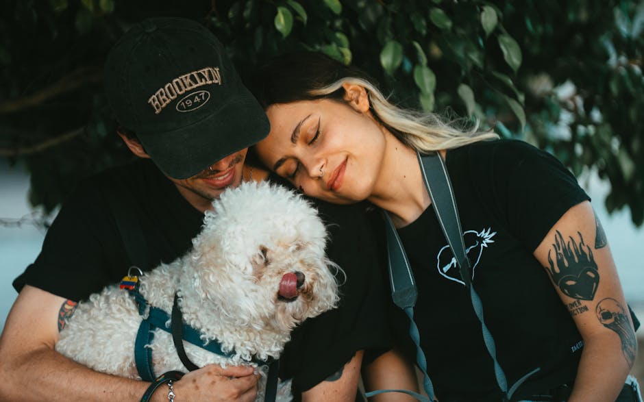 Bichon Frises: Social Butterflies with a Fear of Solitude (image credits: pexels)