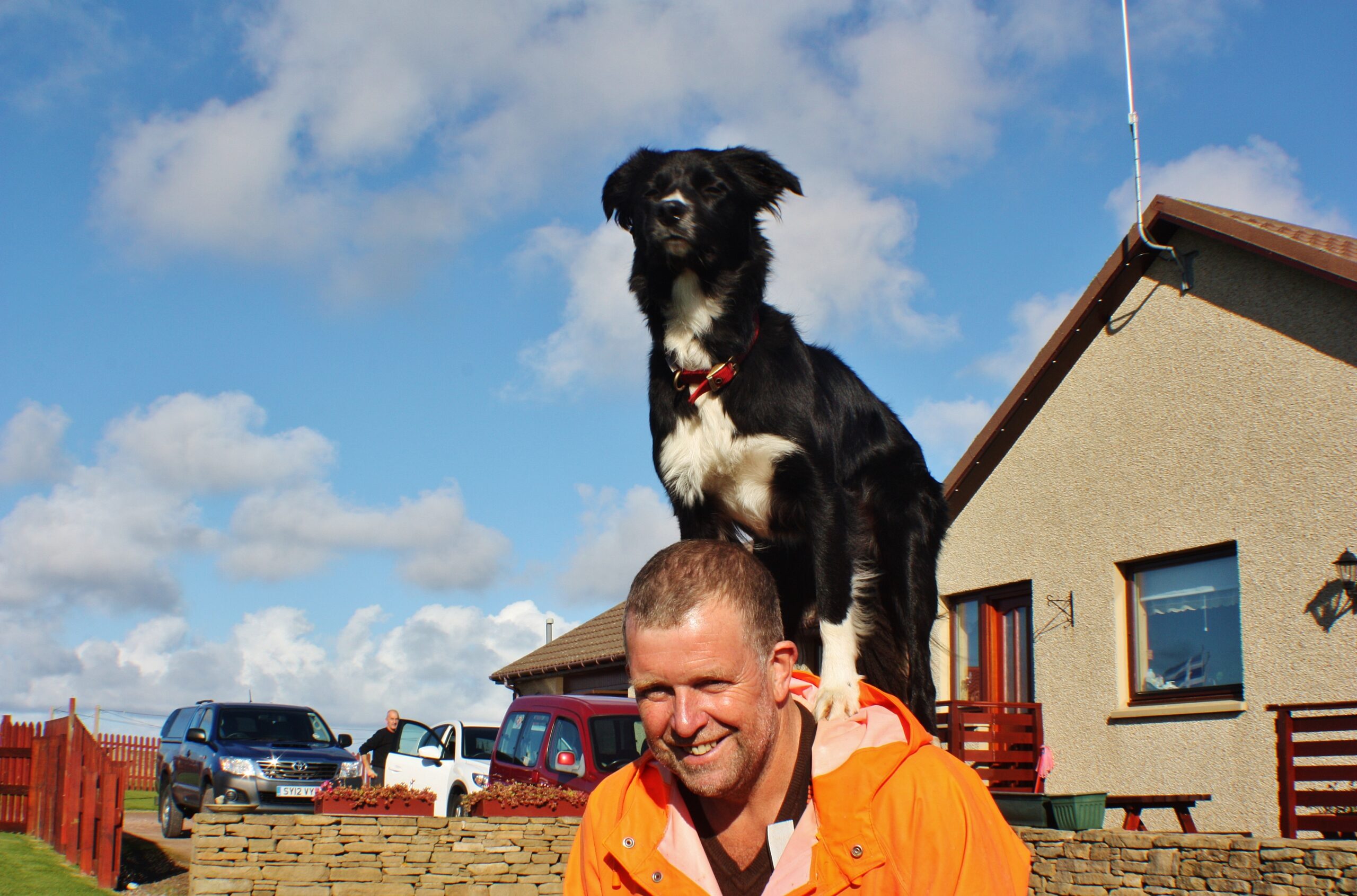 Owning a Border Collie Will Turn Your Life Upside Down (For the Better)