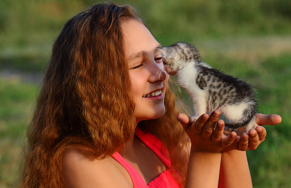 Offer Gentle Affection (image credits: pexels)