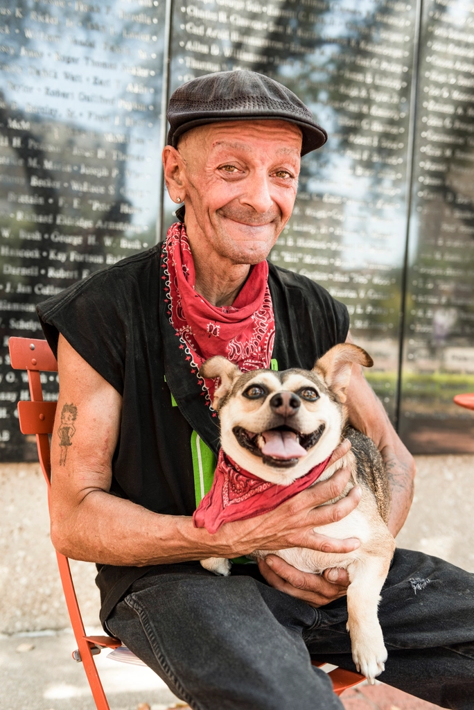 Senior Dogs and Special Needs (image credits: rawpixel)