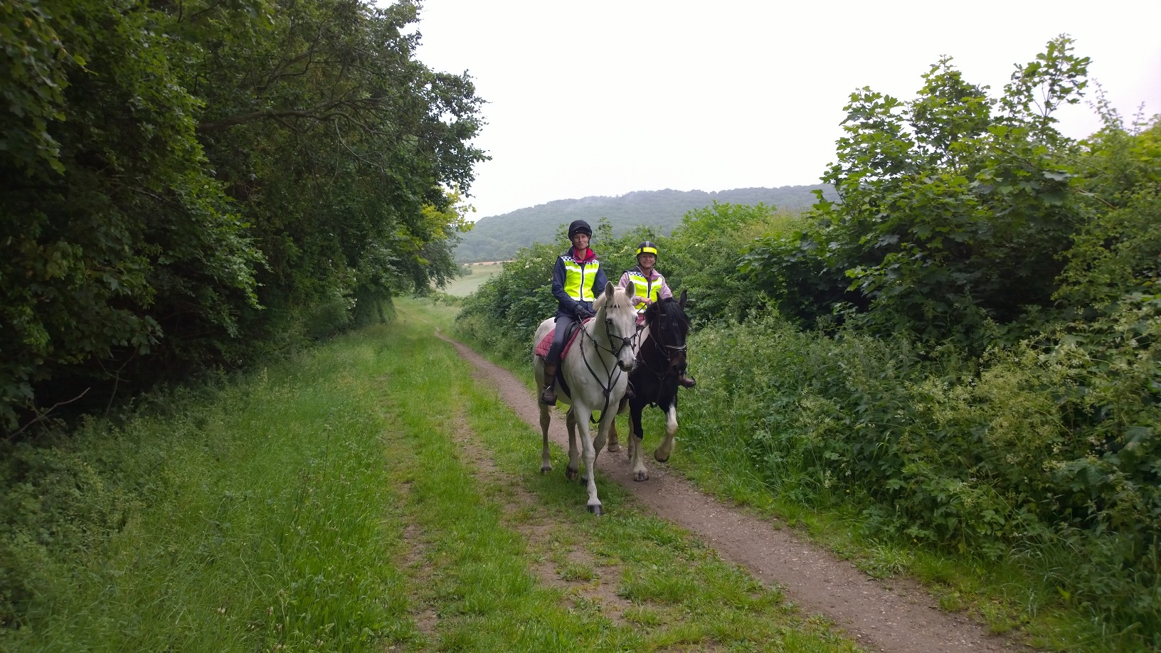 Building a Lifelong Partnership Through Movement (image credits: wikimedia)