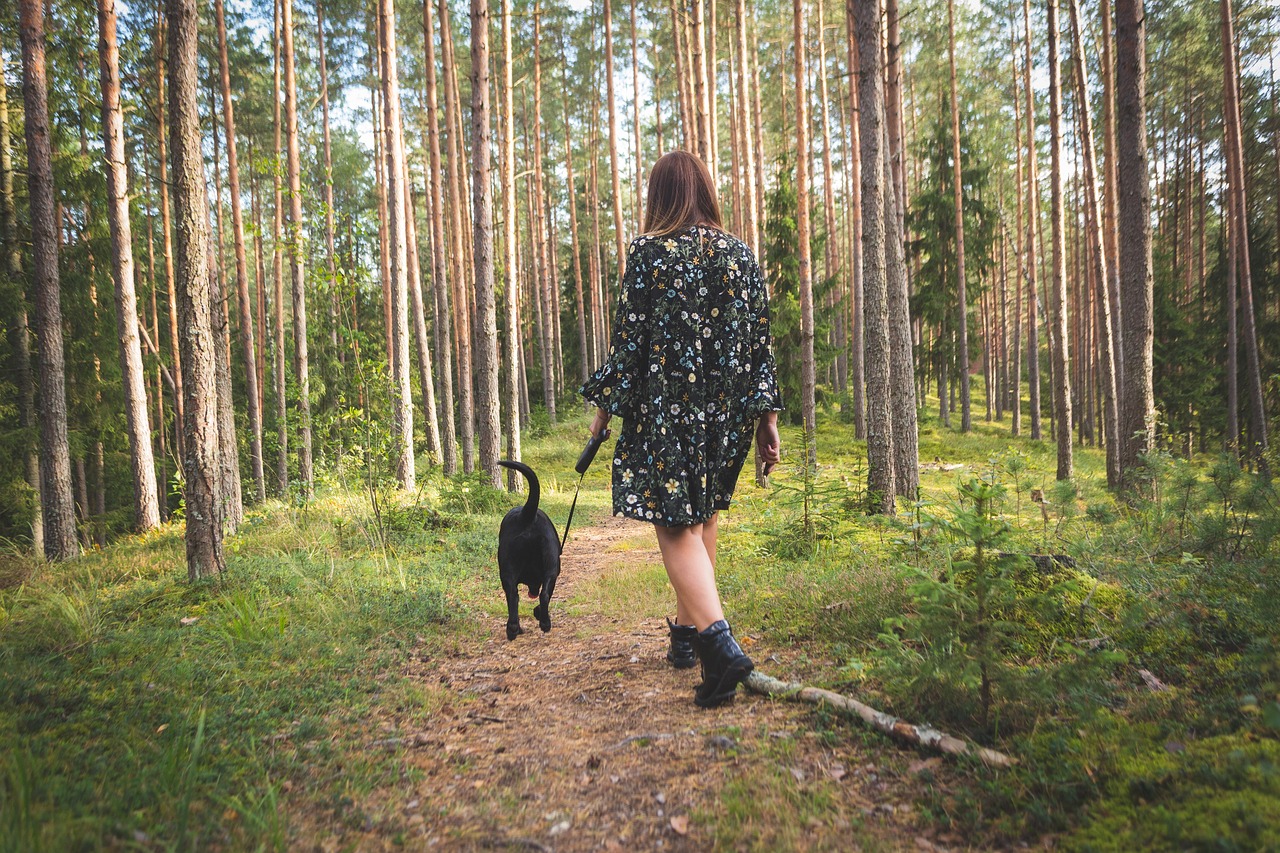 Rethinking the Daily Walk: Eco-Friendly Routes and Habits (image credits: pixabay)