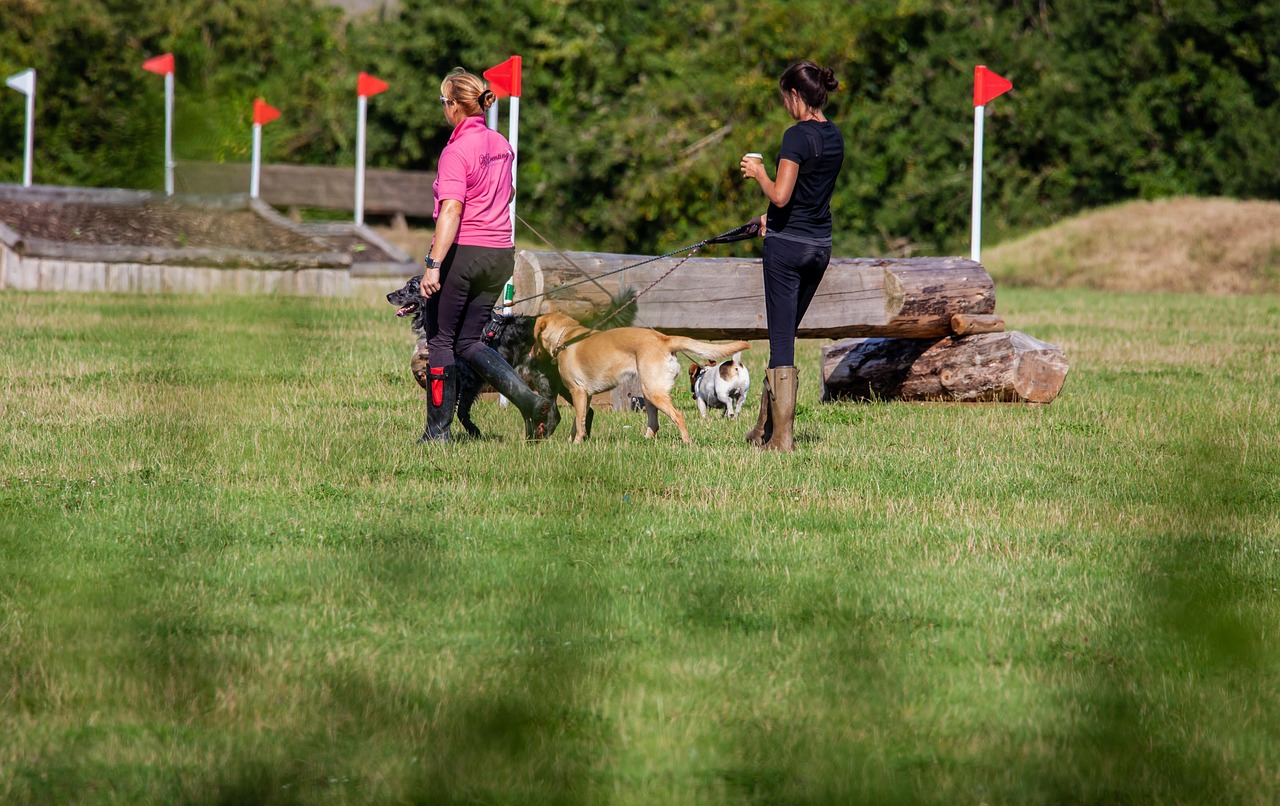 Joining Community Clean-Up Walks (image credits: pixabay)