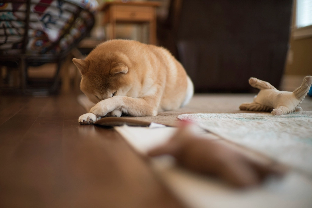 Frequent Position Changes: Unsettled or Restless Feelings (image credits: rawpixel)