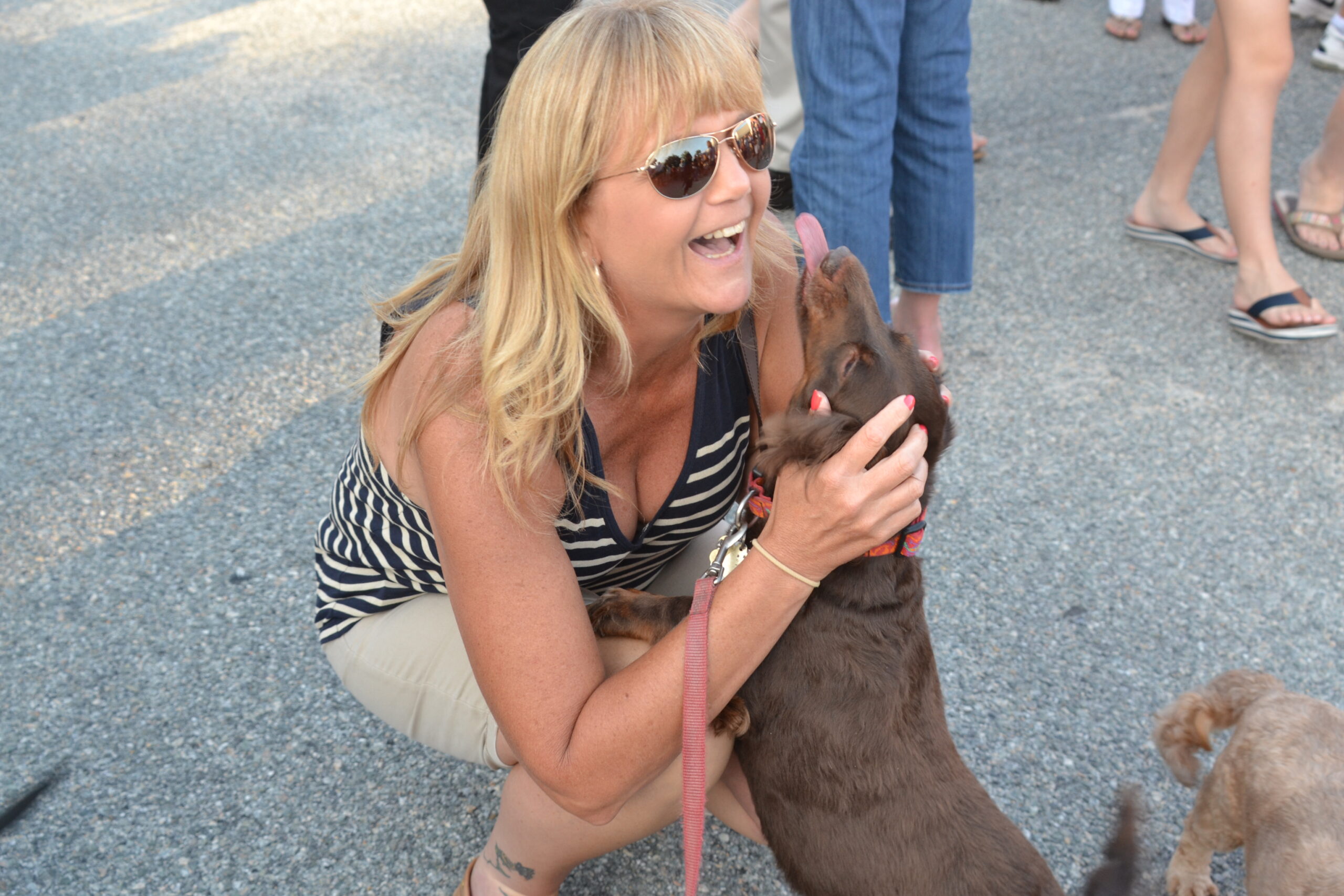 3. Licking: Doggy Kisses (image credits: wikimedia)