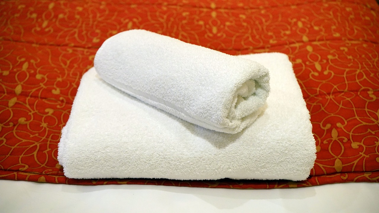 Repurpose Old Towels and Blankets as Pet Bedding (image credits: pixabay)