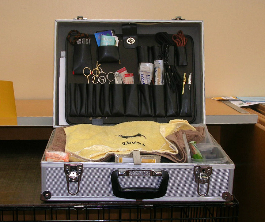 Donate Old Pet Supplies Instead of Throwing Away (image credits: wikimedia)