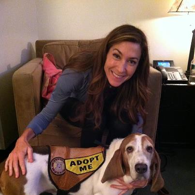 Basset Hound: Slow and Steady Wins the Race (image credits: flickr)