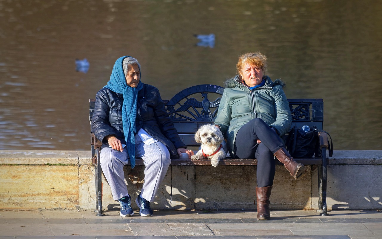 Senior Dogs That Vibe With Your Mature Zodiac Energy