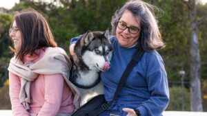 How Training Through Love Builds Smarter Dogs