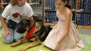 Why Dogs Understand Your Emotions Better Than Words