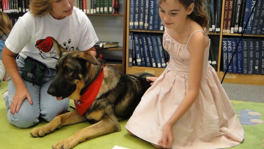 Why Dogs Understand Your Emotions Better Than Words